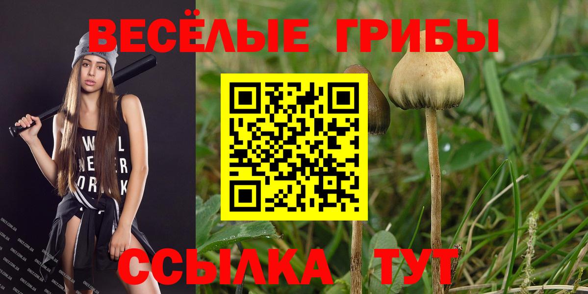 Алексеевка  Псилоцибиновые грибы Psilocybine cubensis  Вход с VPN 