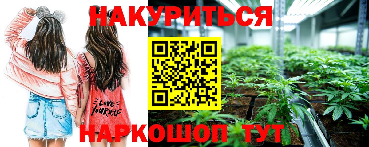 Шишки марихуана MAZAR  Бошки Шишки White Widow  Бошки Шишки конопля  Вход с VPN  Алексеевка  Канабис White Widow 